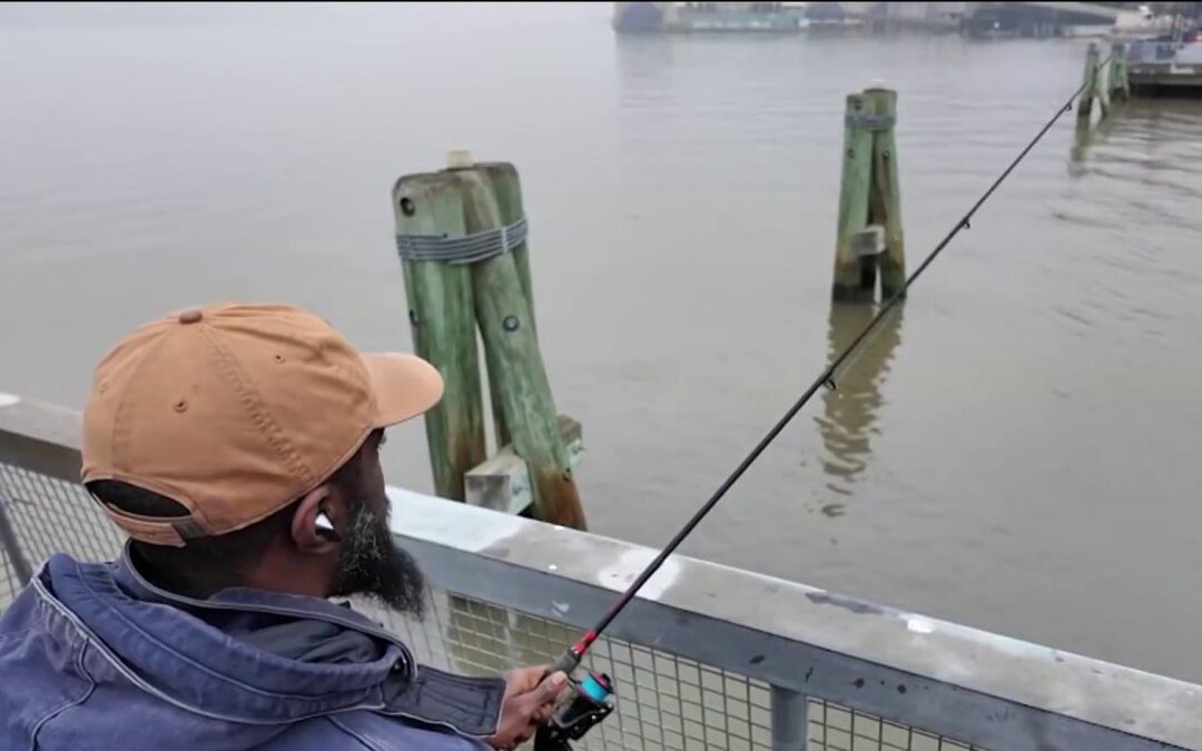 You can eat fish caught in the Hudson River for the first time in 50 years