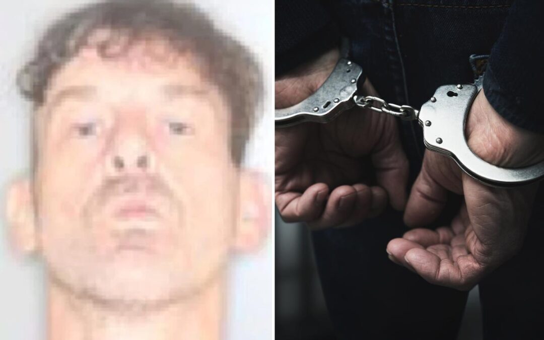Upstate NY man allegedly tried to stab family member — while dressed as a cow