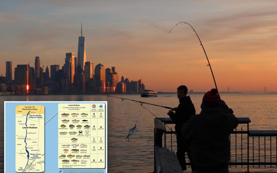 It’s now safe to eat seafood from the Hudson River — but locals say no thanks to filet of goldfish