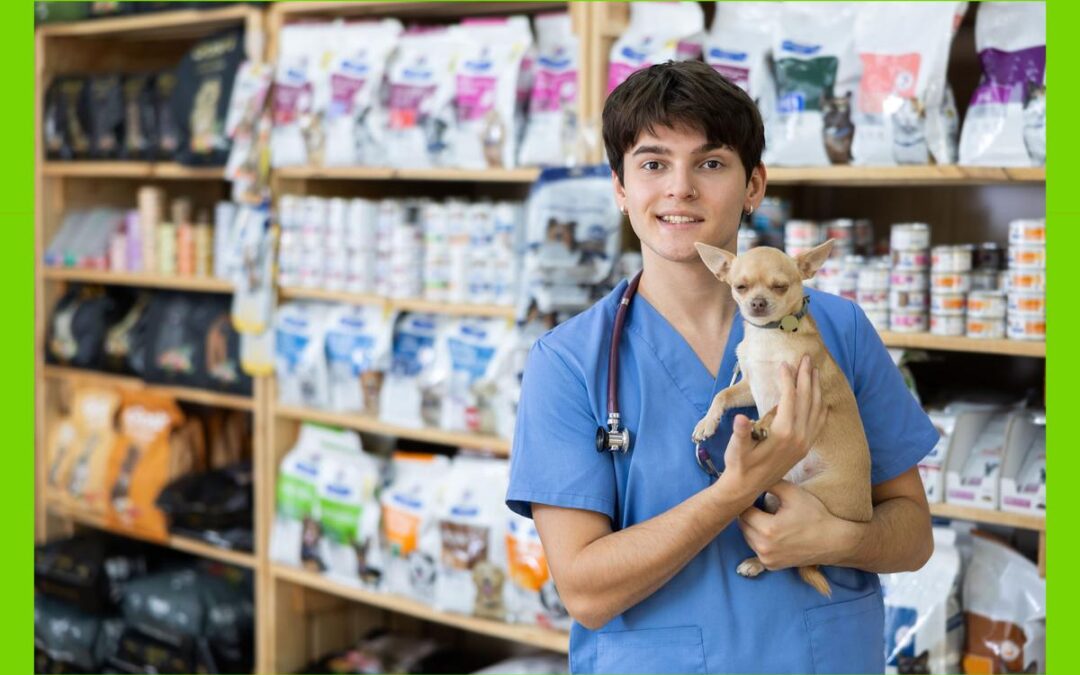 Stop pro-cat-inating and get the 8 most pawsome insurance plans for 2026