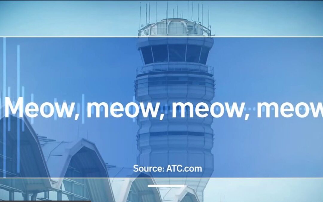 FAA investigating after pilots heard meowing, barking over radio at Virginia airport