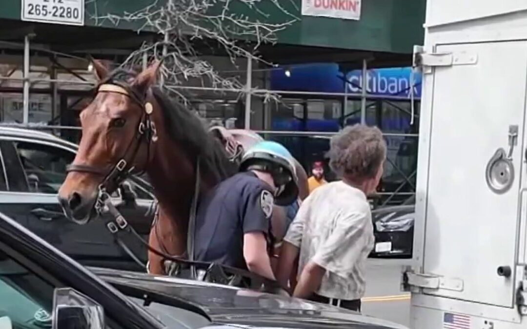 NYPD officer on horseback chases down attempted purse snatcher, police say