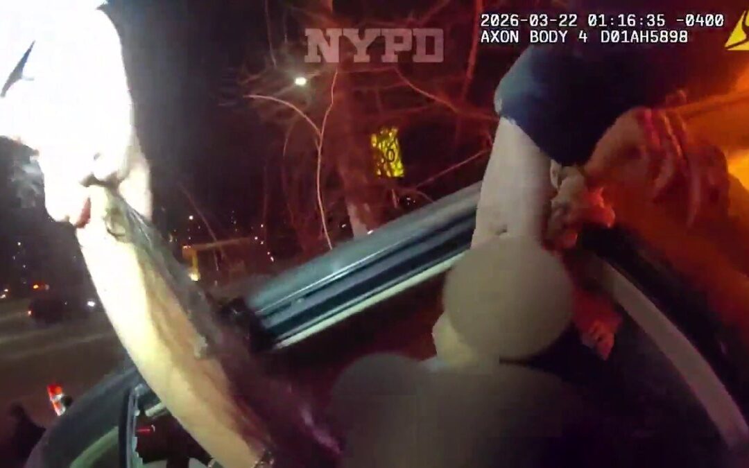 ‘Get out of the car'! NYPD bodycam shows dramatic Grand Central Parkway rescue