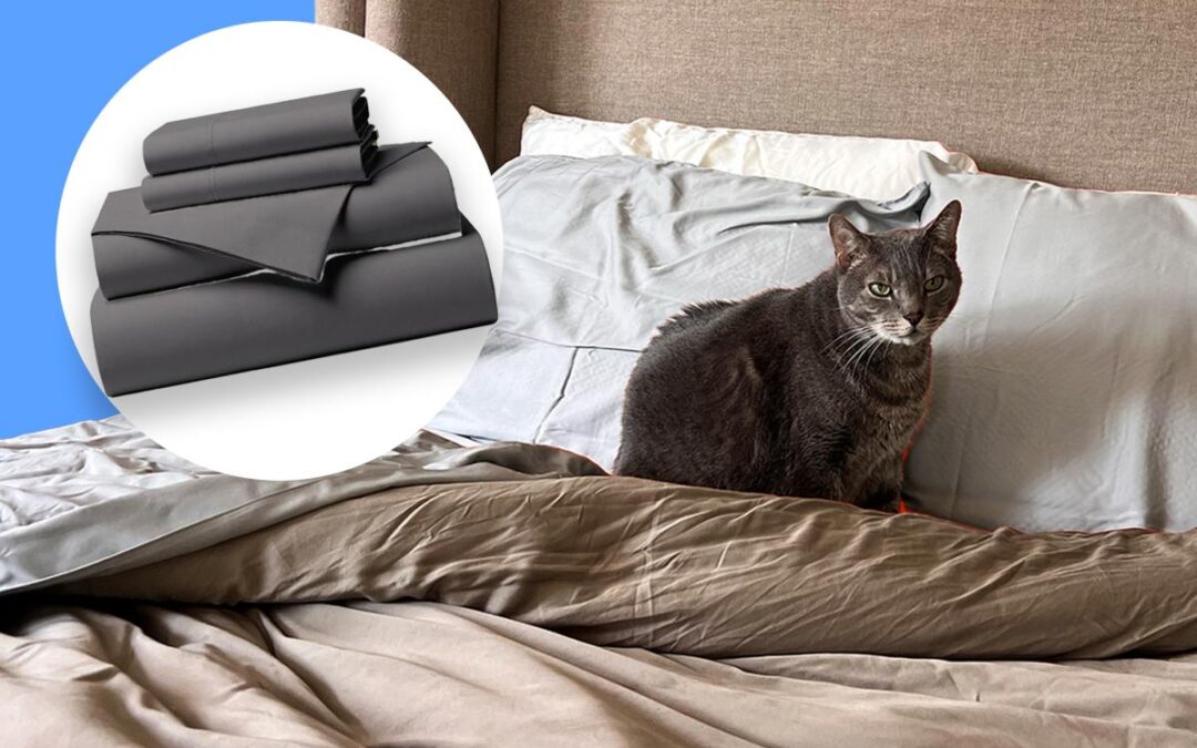 I spent weeks with CGK’s under-$50 Amazon bedding — here’s how it went