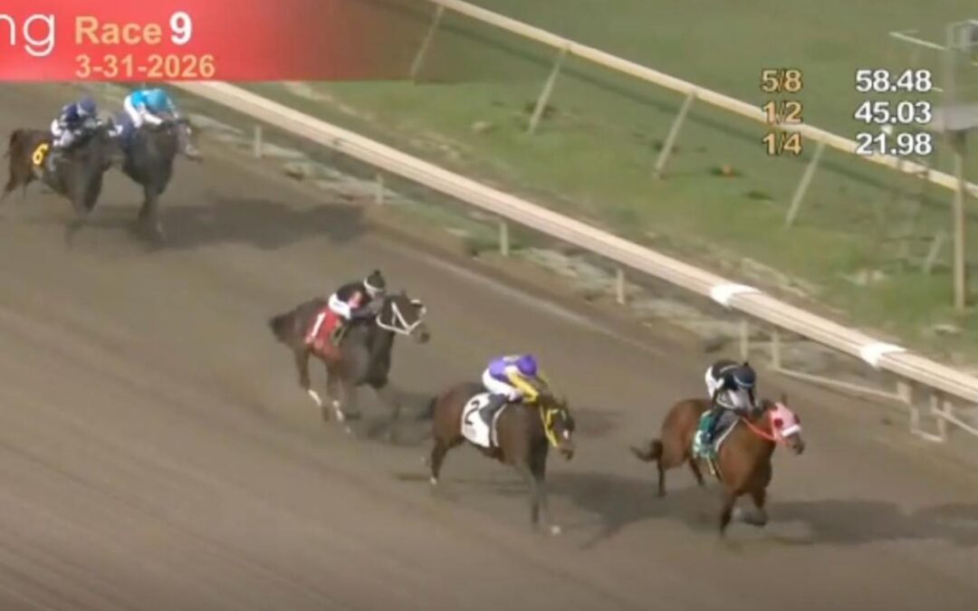 Horse racing Jockey under investigation after suspicious ride at Parx Racing