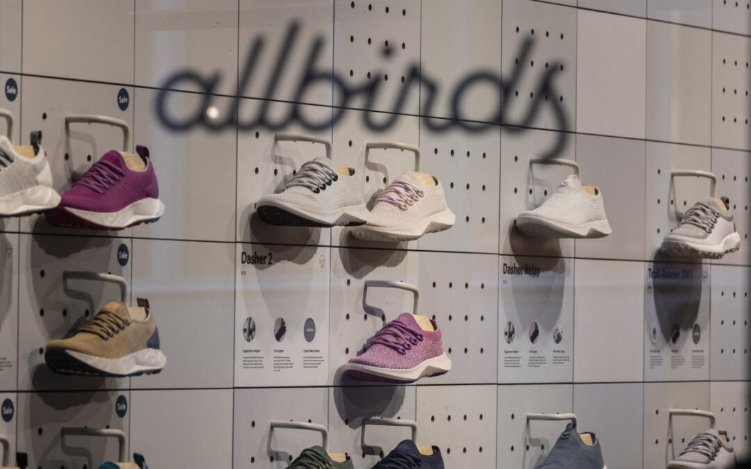 Allbirds shares skyrocket over 600% as flailing shoe company pivots to AI