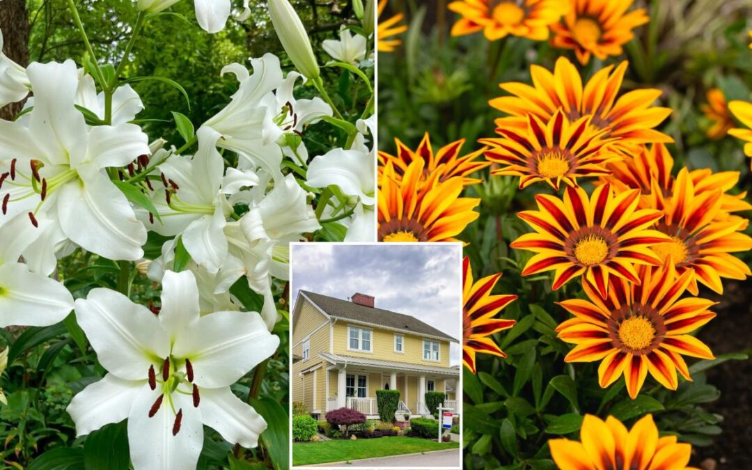Spring flowers that make your home more inviting to potential buyers
