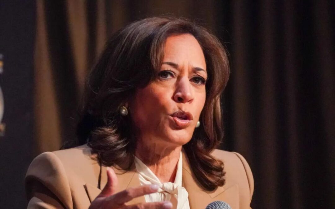Kamala Harris said she ‘might’ run for president in 2028 — reveals to Al Sharpton her political comeback deliberations