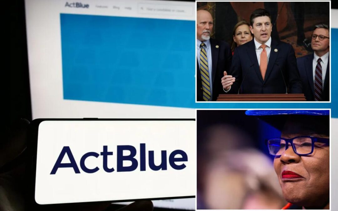 ActBlue employees took the Fifth in House depositions 146 times