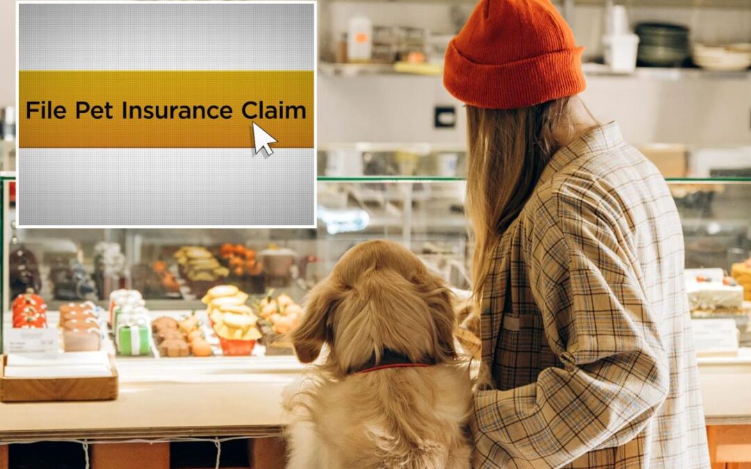 The true cost of being a pet parent in 2026: What you need to know
