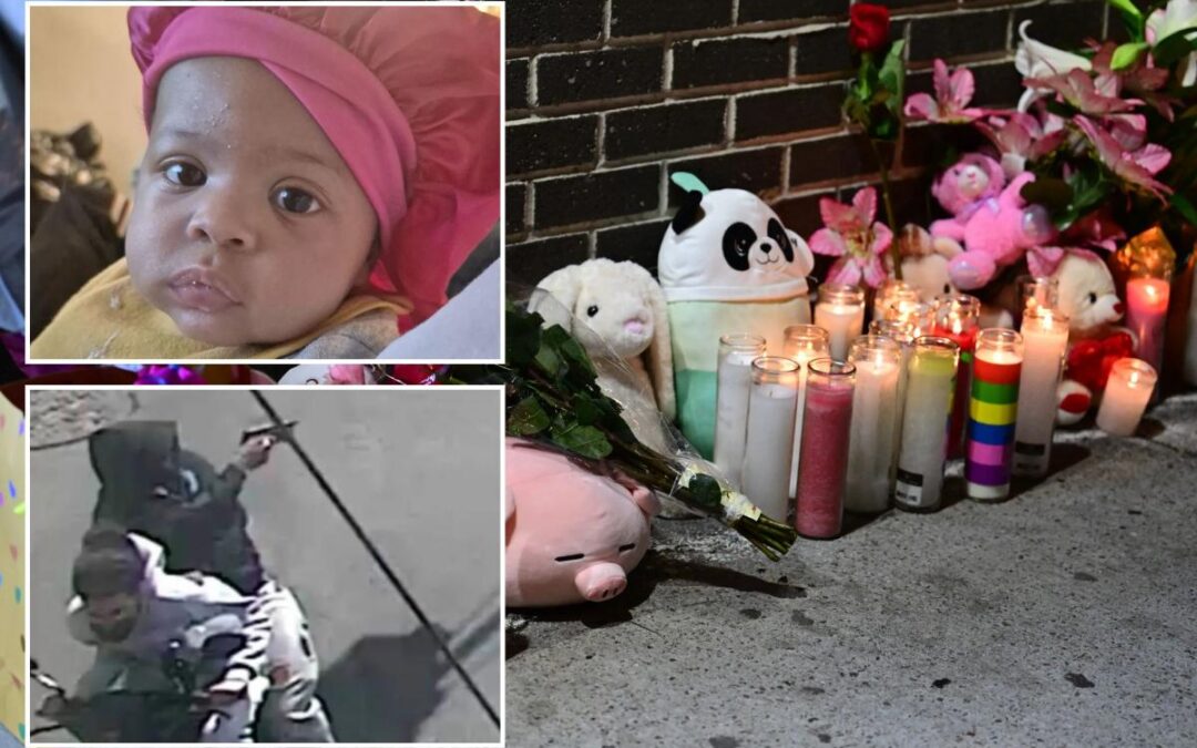 Strangle the gangs that plague NYCHA public housing — send in the dads