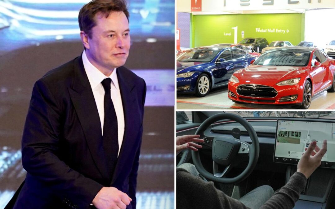 Angry Tesla owners sue Elon Musk’s automaker for ‘misleading’ them about self-driving tech