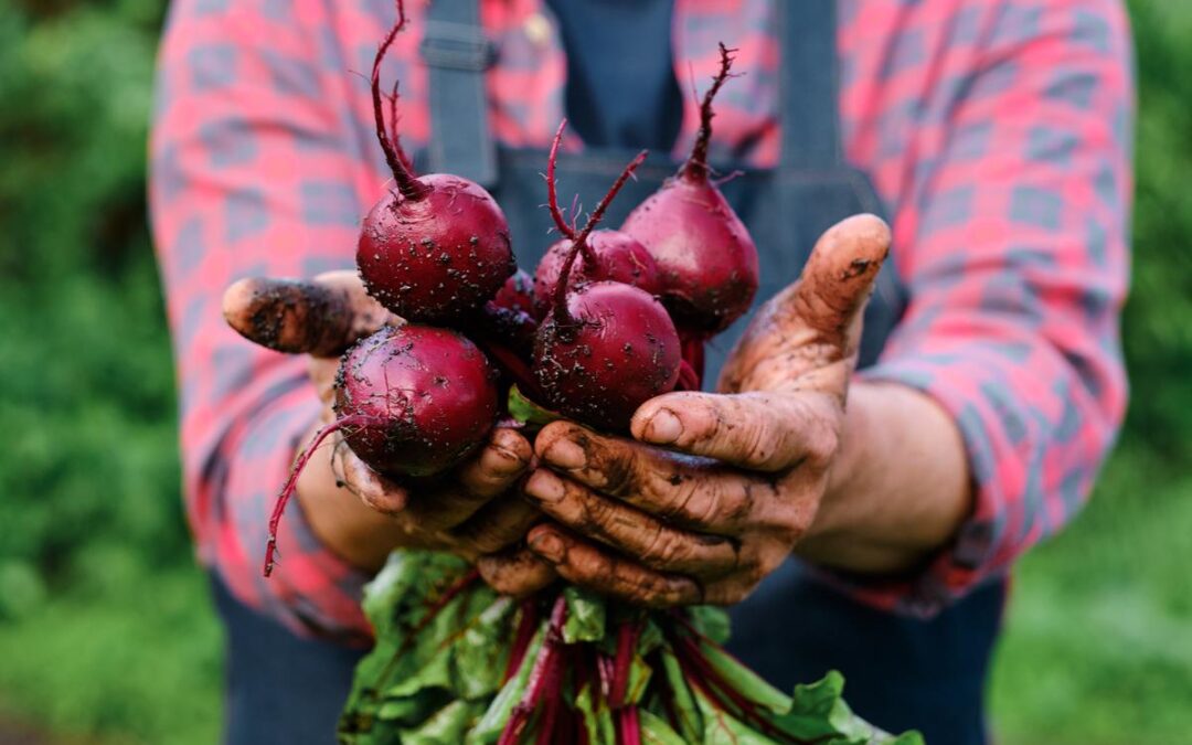Demand for niche vegetable skyrockets as Americans seek health benefits amid superfood craze