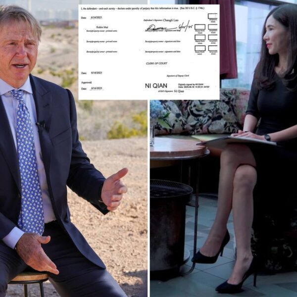 Divorcée accused of blackmailing billionaire Bucks owner Wesley Edens was bailed out by Chinese foreign agent