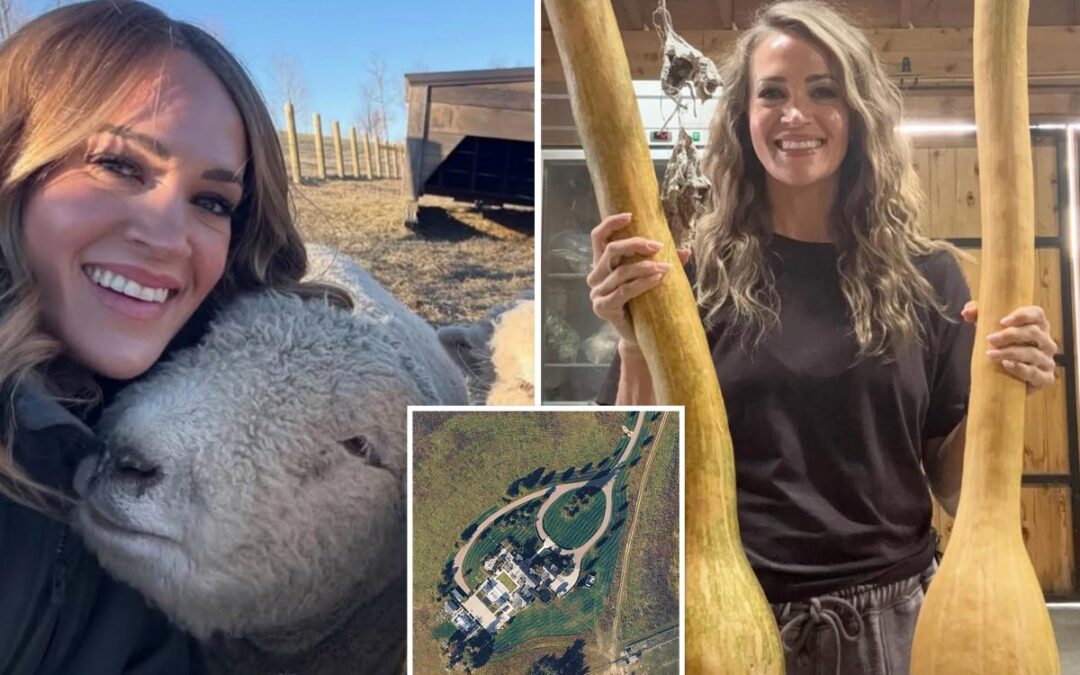 Why Carrie Underwood rejected LA glamour to live on rural Tennessee farm where she spends her days ‘covered in poop’