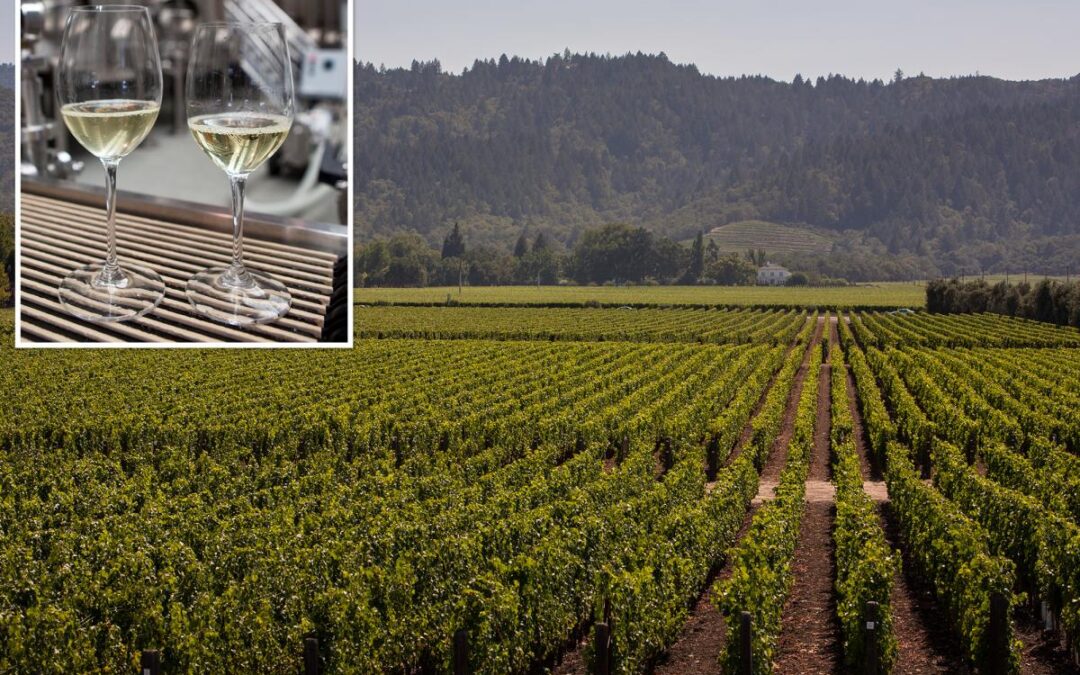 Fresh hell for California’s crippled wine industry as values hit rock bottom