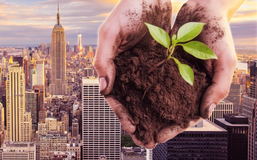 ‘Black gold’: Big Apple gives away 5M pounds of compost produced from city’s recycled  table scraps