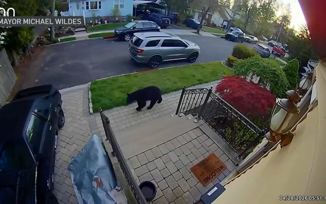 These Bergen County communities are on bear alert