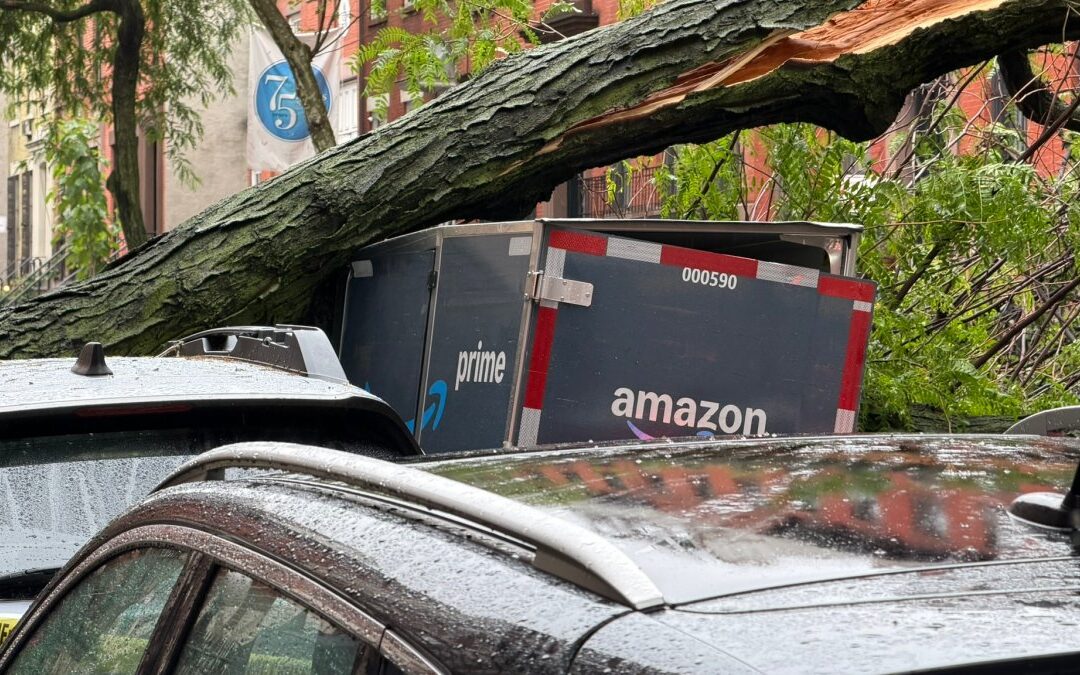“It sounded like a bomb going off”: tree smashes into Amazon cargo bike, cars