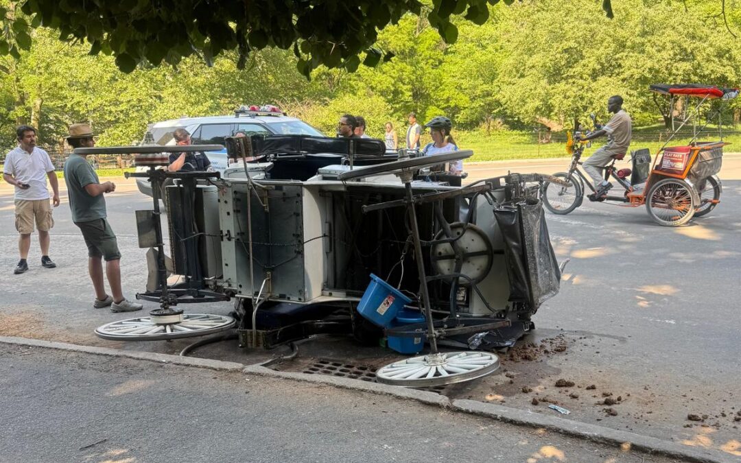 Driver hurt after spooked horse crashes into another carriage in NYC park: ‘It’s madness’