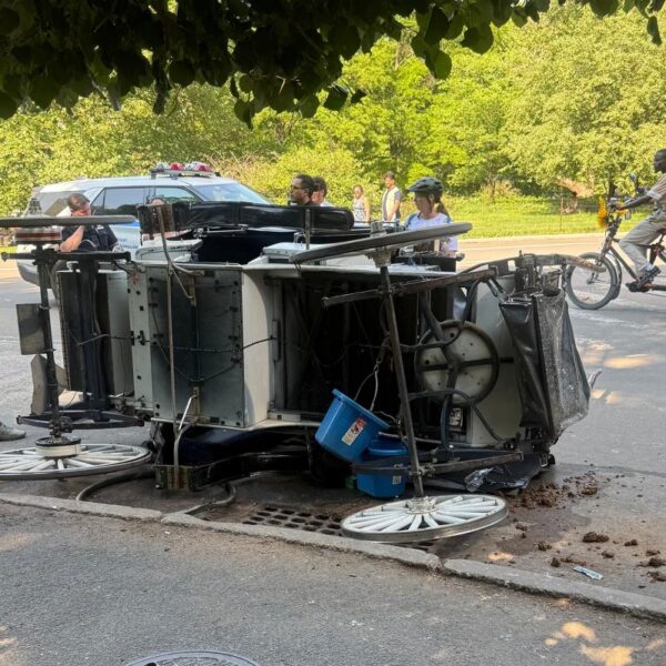 Driver hurt after spooked horse crashes into another carriage in NYC park: ‘It’s madness’