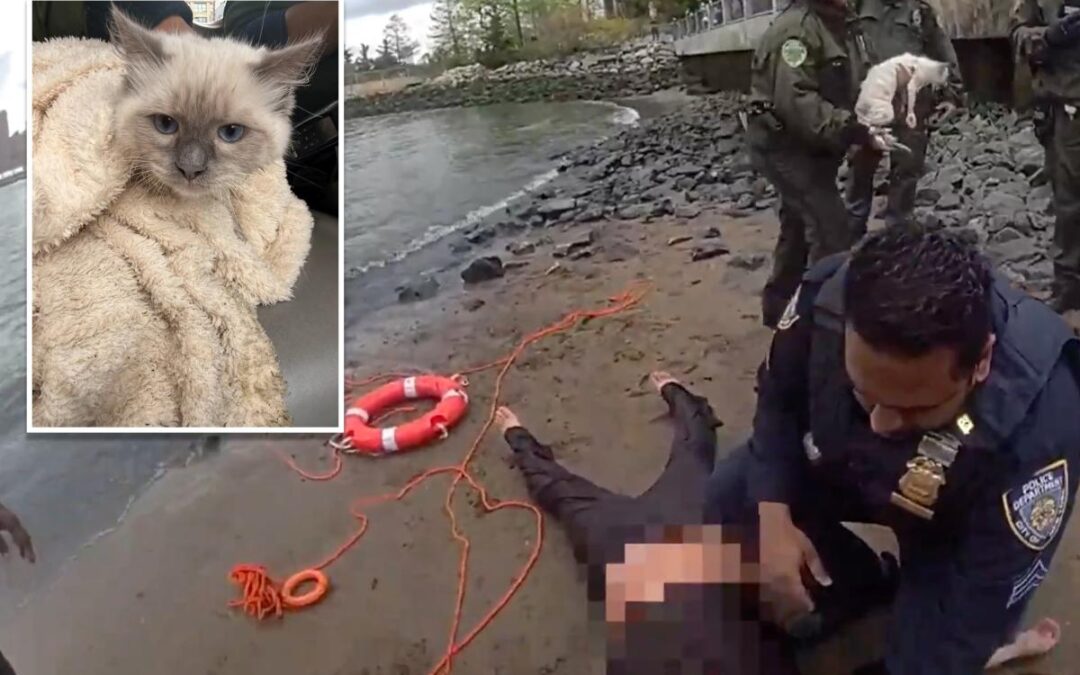 NYPD rescues woman, cat stranded in East River under Brooklyn Bridge: video