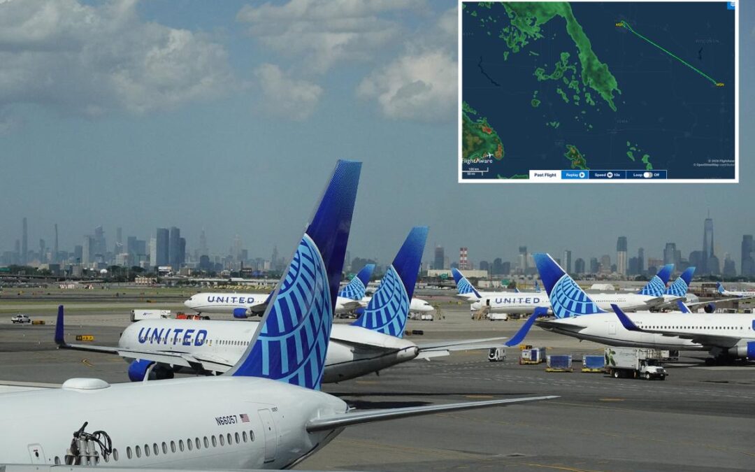 United Airlines flight makes emergency landing after unhinged passenger storms cockpit