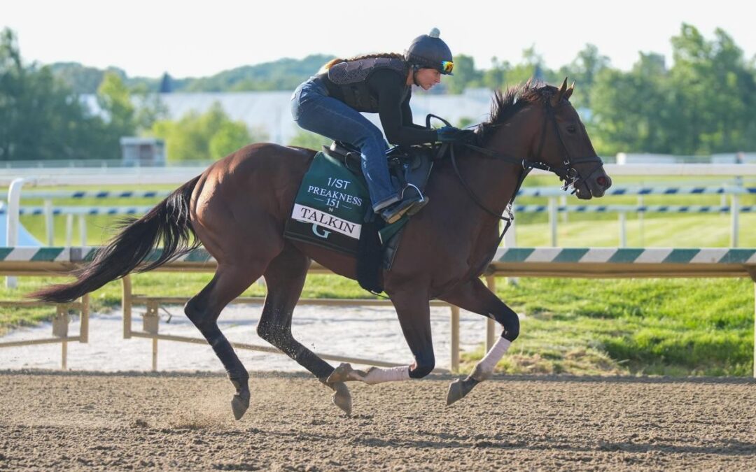 2026 Preakness Stakes picks: Best long-shot bets to win middle jewel of the Triple Crown