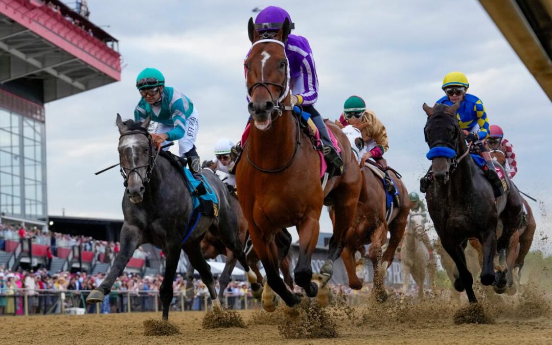 2026 Preakness Stakes picks: Best horses to use in exactas, trifectas
