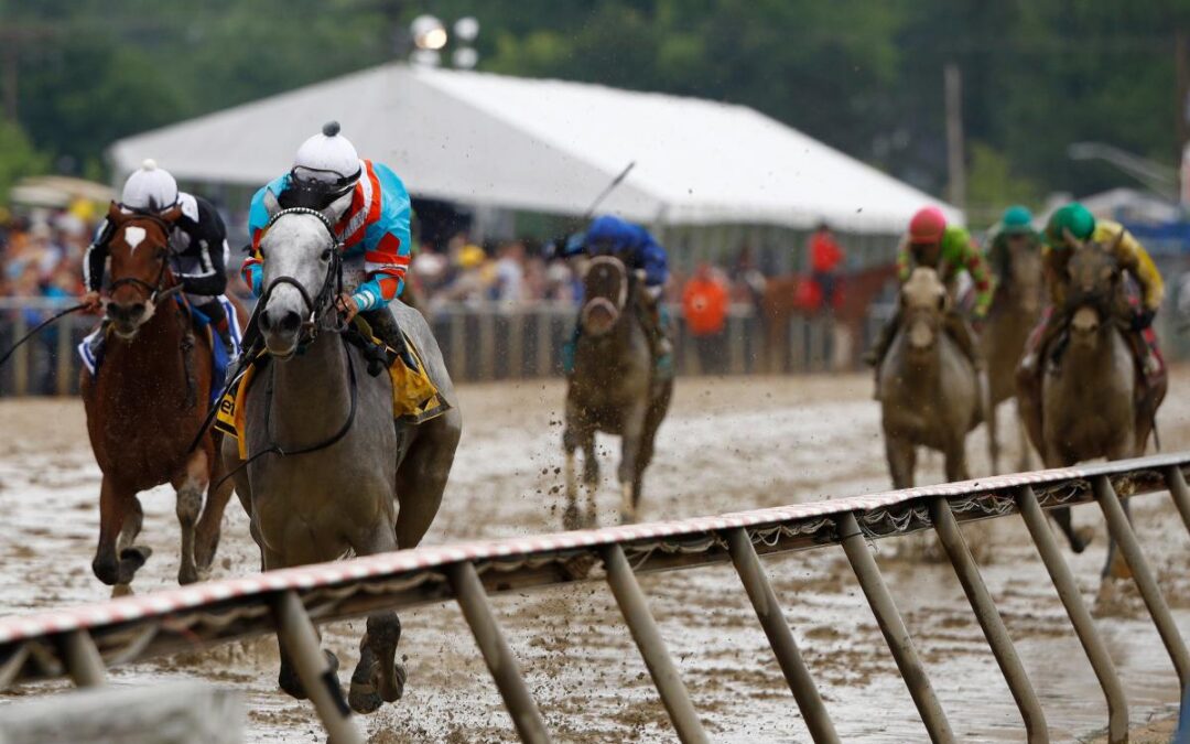 2026 Black-Eyed Susan Stakes picks, predictions, best bets