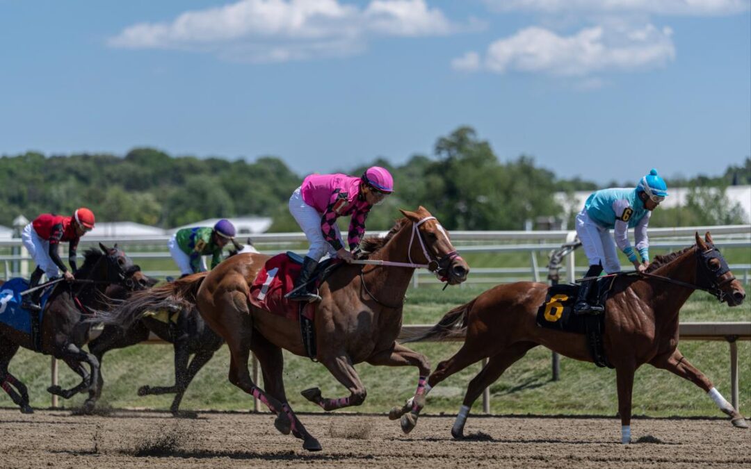 2026 Preakness Stakes picks: Best bets, long shots, predictions for Saturday’s Triple Crown race