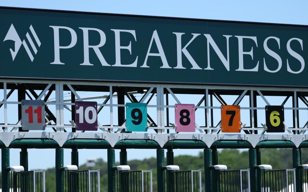 Preakness Stakes 2026: Picks and predictions from the experts