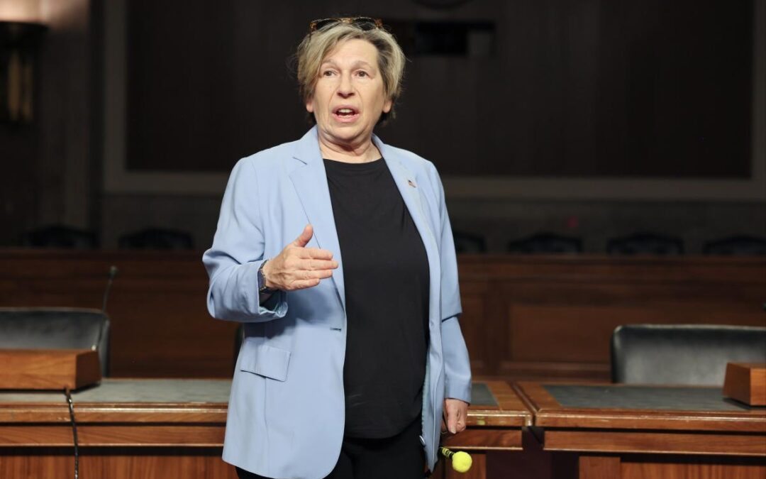 Turns out Randi Weingarten’s self-promoting ‘book’ was a big scam all along