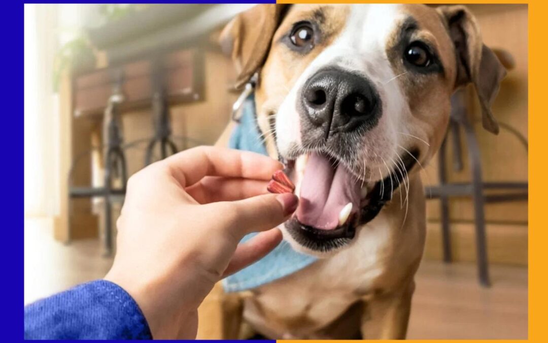 Kibbles ’n Bits just dropped new treats under $3 and dogs love them