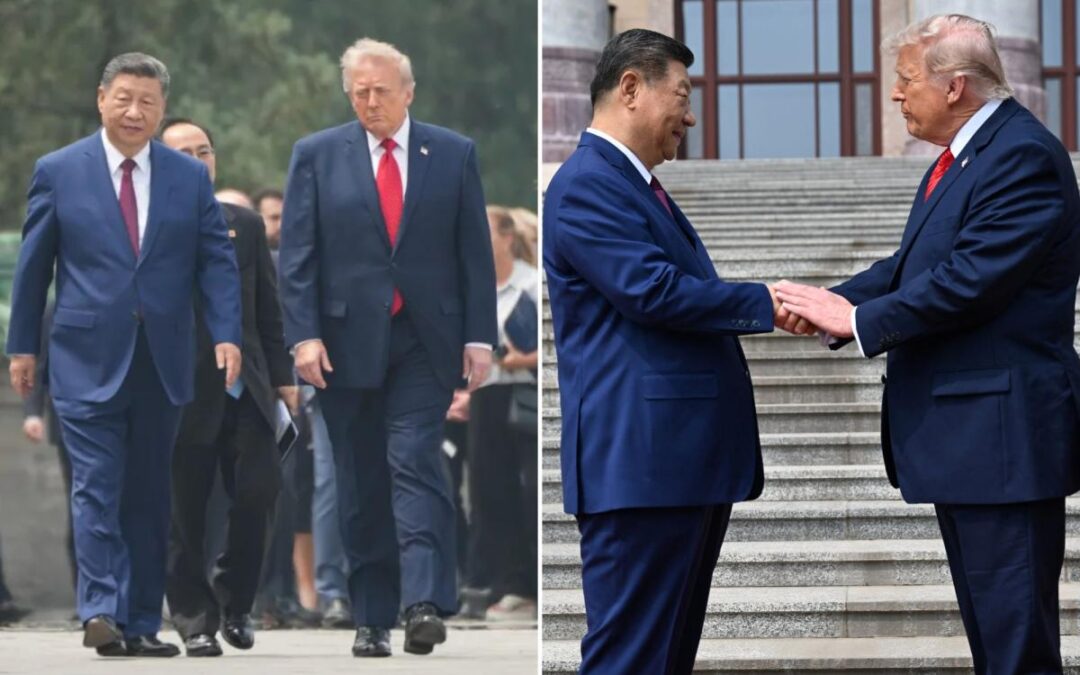‘Lion’-like Trump deploys ‘power move’ as he, Xi show ‘genuine affection’ during historic China summit: body language expert