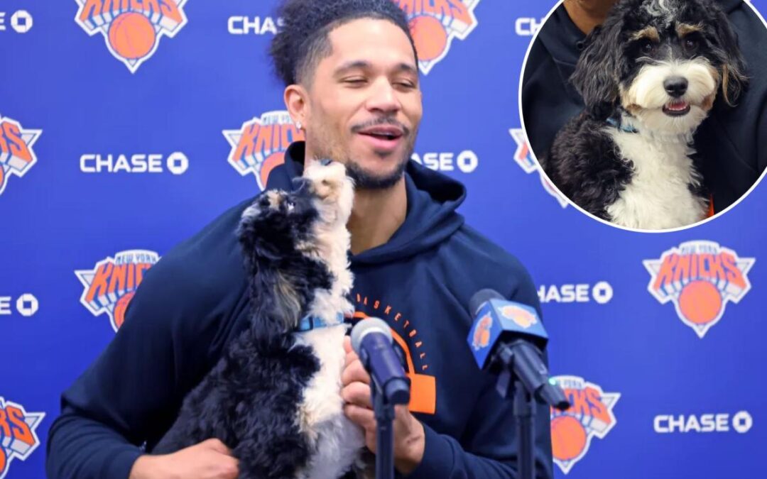 Why Josh Hart brought a dog to practice with Knicks playoffs on hold: ‘Whatever makes good vibes’