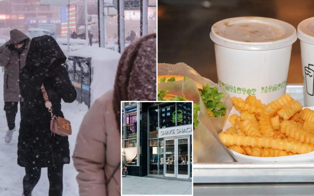 Shake Shack shares shook by sales shock, sliding 30%