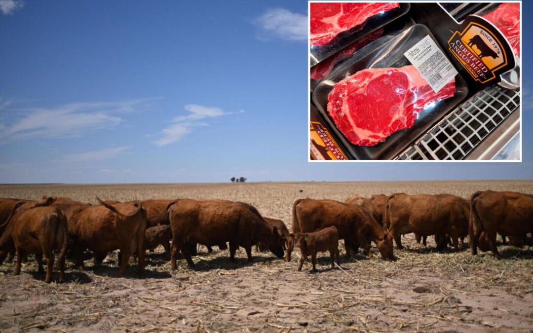 Here’s what keeping beef prices so high ahead of summer BBQ season — and why it could take years to see relief
