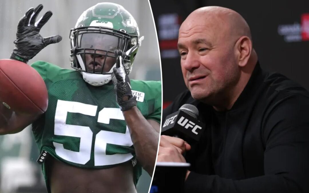 Ex-Jets linebacker Anthony Wint will fight in Contender Series in hopes of earning UFC contract