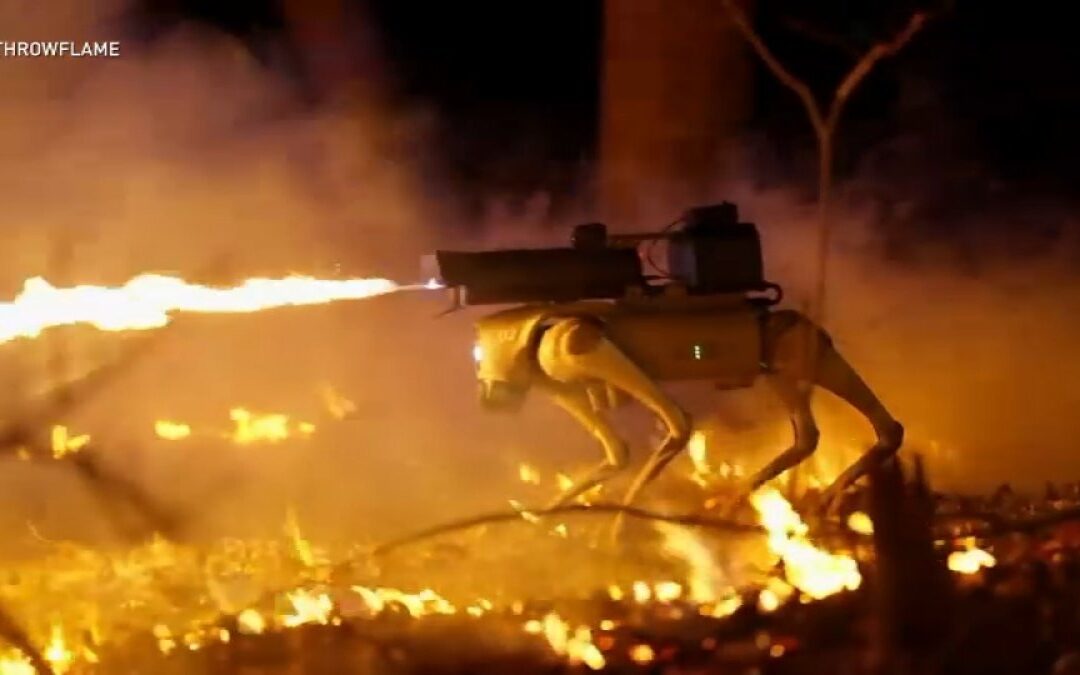 I-Team: Should NY ban robots from carrying flamethrowers and firearms?