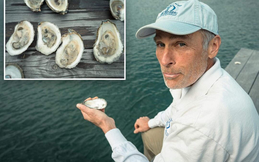 LI oyster growers shelled again — this time by warning of killer bacteria in water