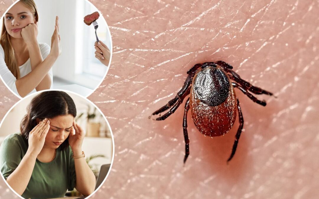 Meat allergies, confusion, vomiting — 5 diseases you can get from ticks as ER visits spike