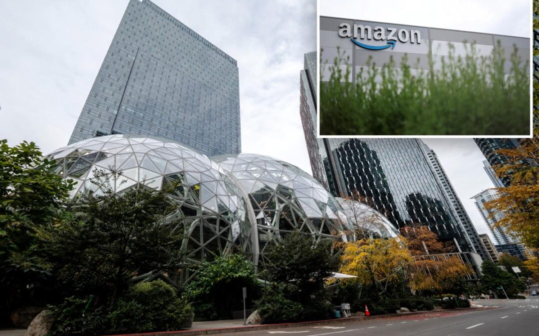 Amazon engineers blast company for spending billions on AI while cutting jobs: ‘Desperate to build’