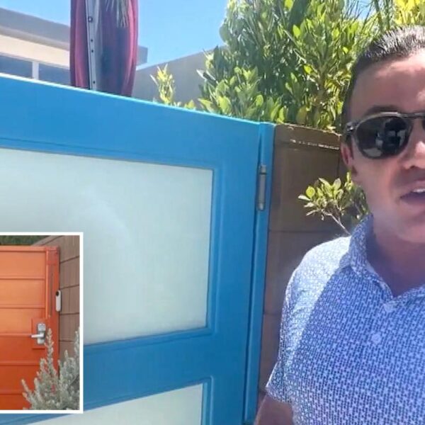 World’s pettiest fight breaks out on wealthy Palm Springs street as homeowner fights back