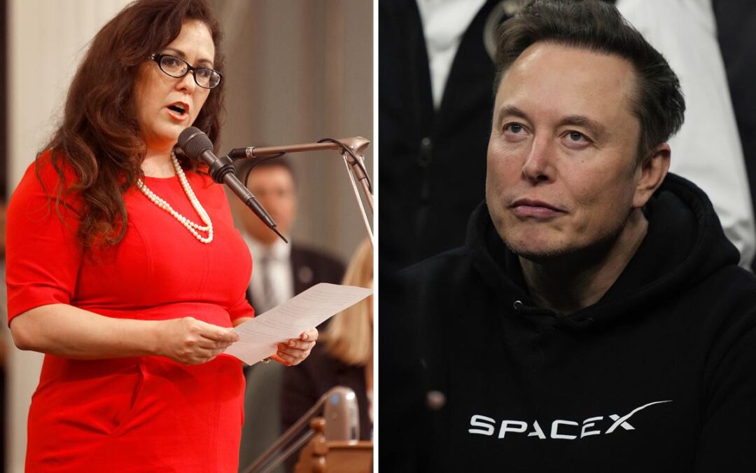 Shocking three-word tweet aimed at Elon Musk unearthed that critics claim cost California billions