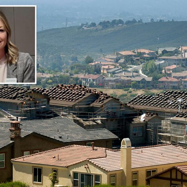 Thrifty homeowner fireproofs her beloved California home on a tight budget