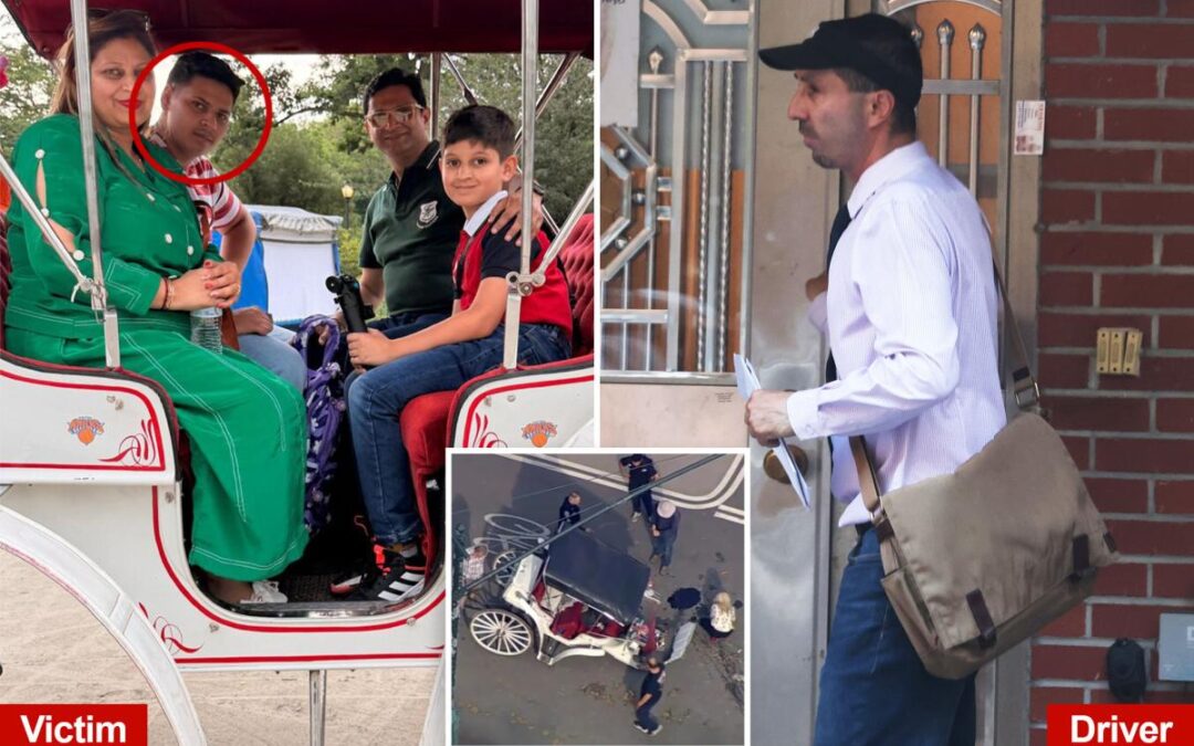 NYC horse carriage ban gains traction following tragic death of teen tourist
