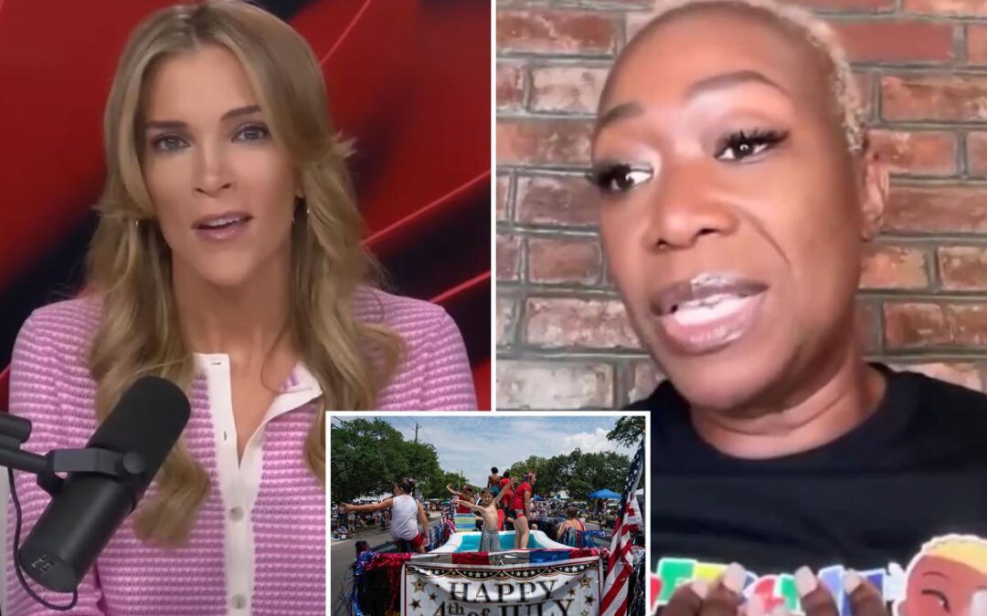 Megyn Kelly blasts Joy Reid for saying ‘nobody black I know’ is excited about 4th of July