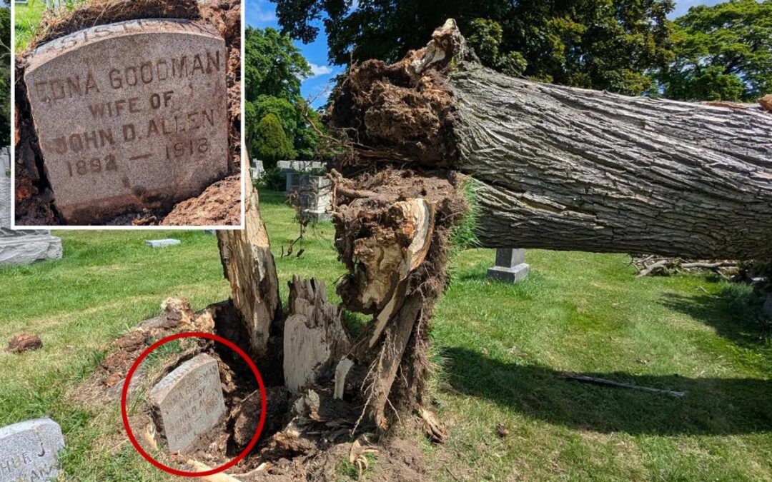 108-year-old gravestone unearthed after severe storm uproots tree