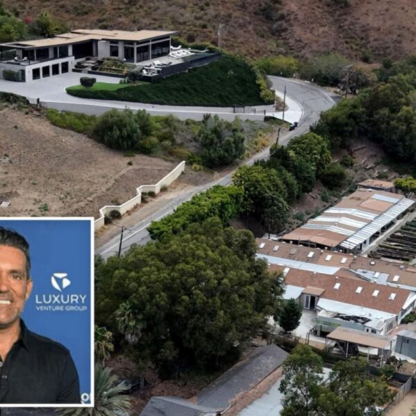 Millionaire CEO goes to war with luxury oceanfront dog hotel next to his and Cher’s Malibu mansions